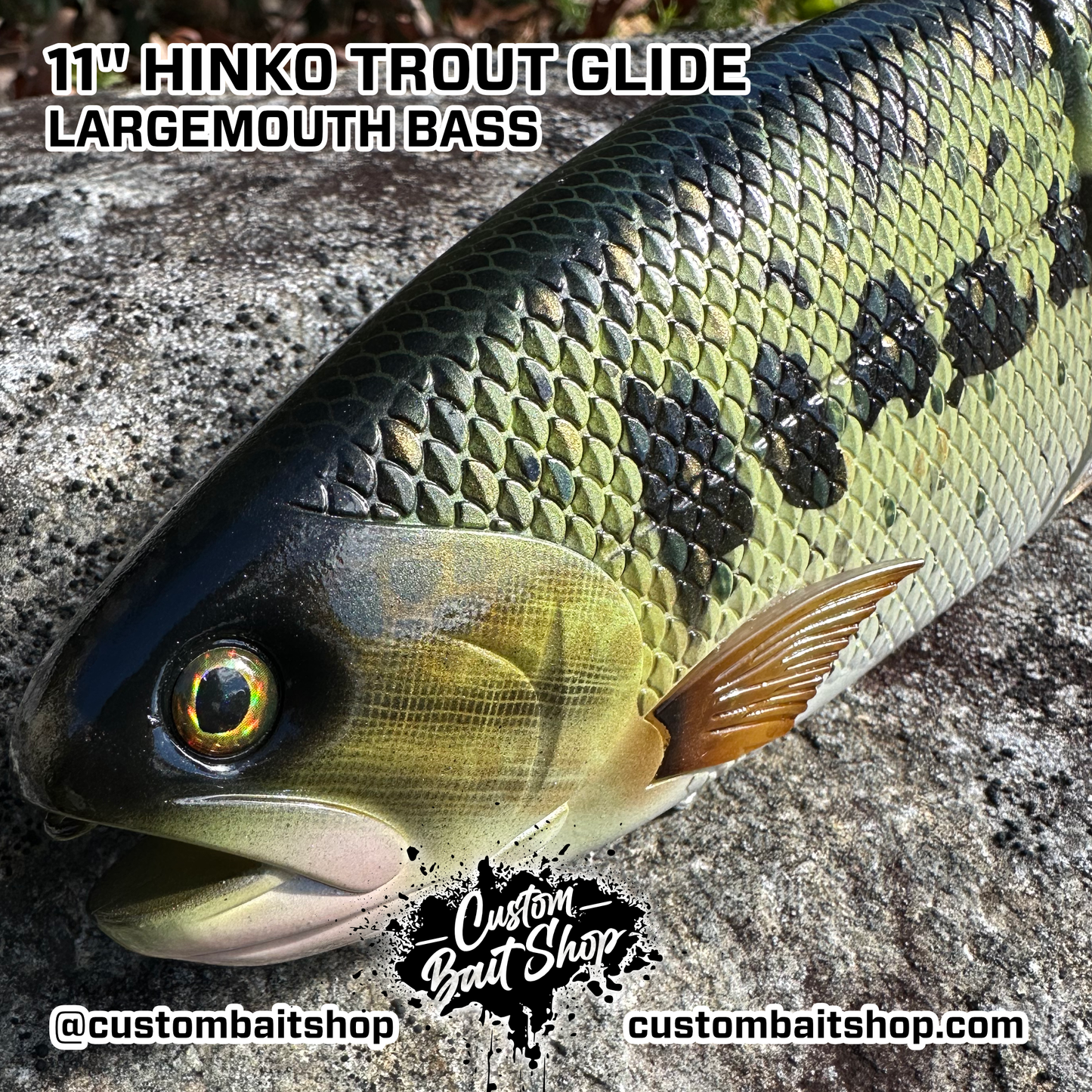 11" Hinko Trout (Sale)
