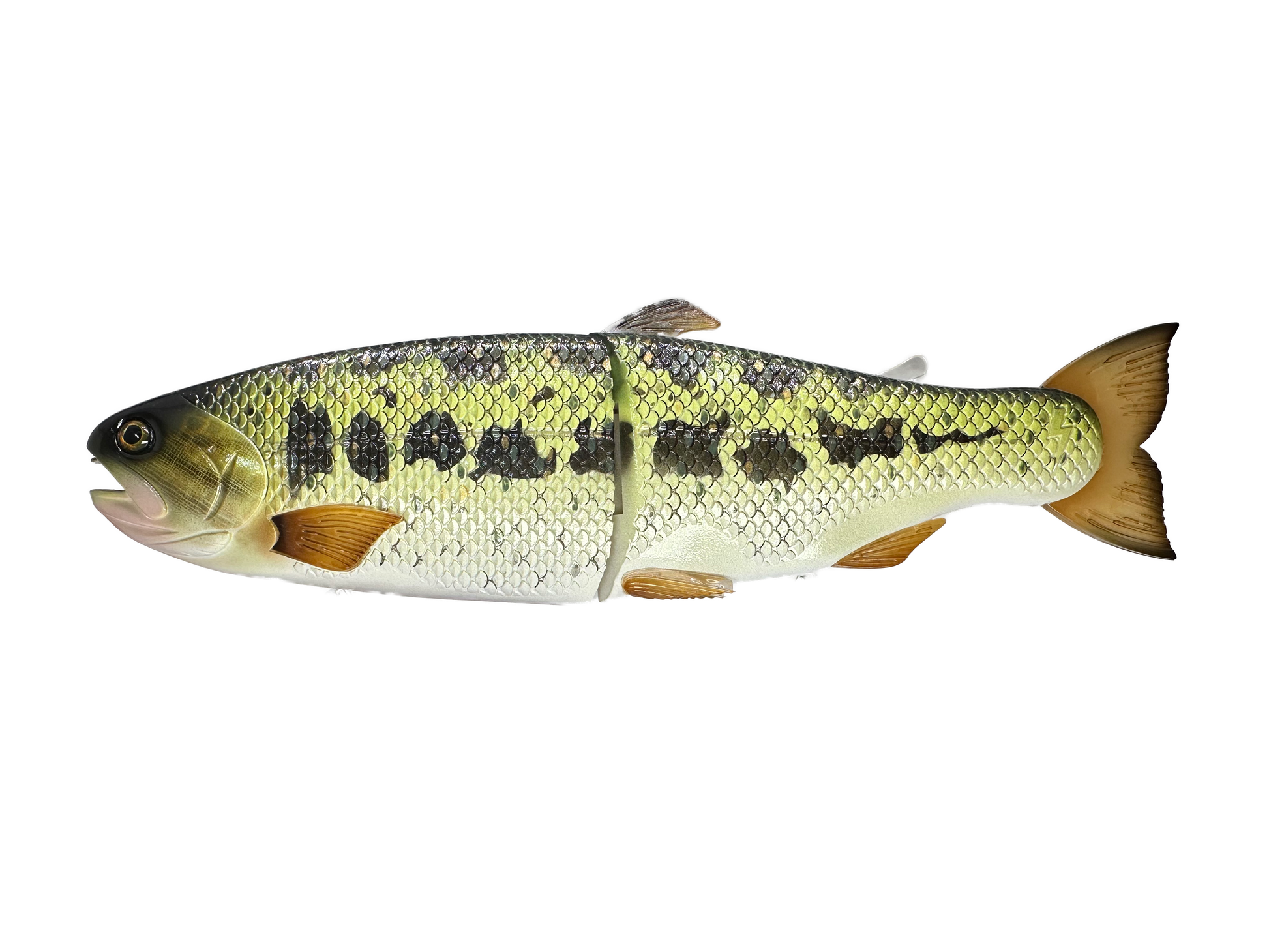 Hinkle Trout 11 Hinkle Trout 11