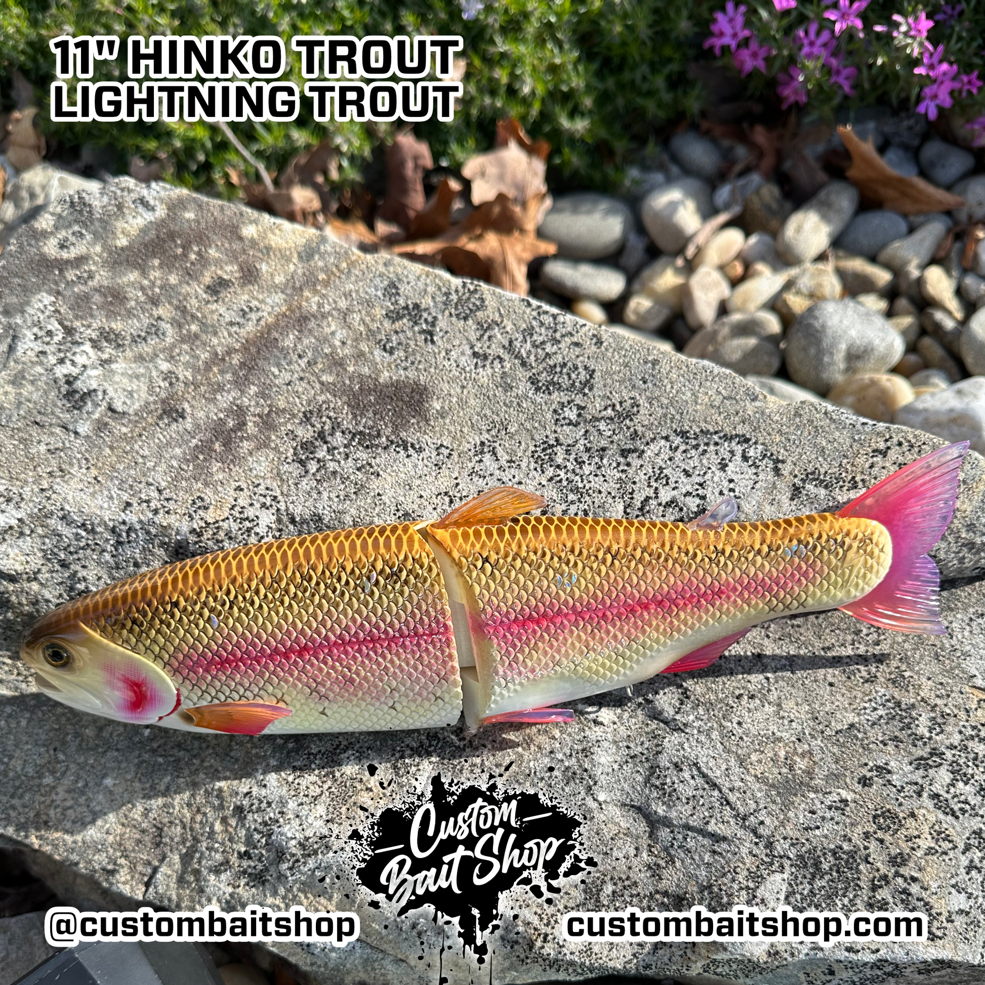 Hinkle Trout 11