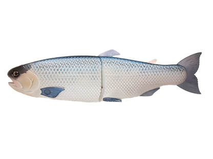 11" Hinko Trout - Special Patterns