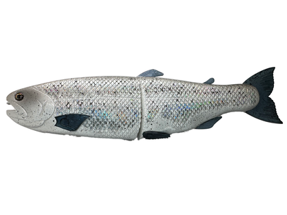 11" Hinko Trout - Special Patterns