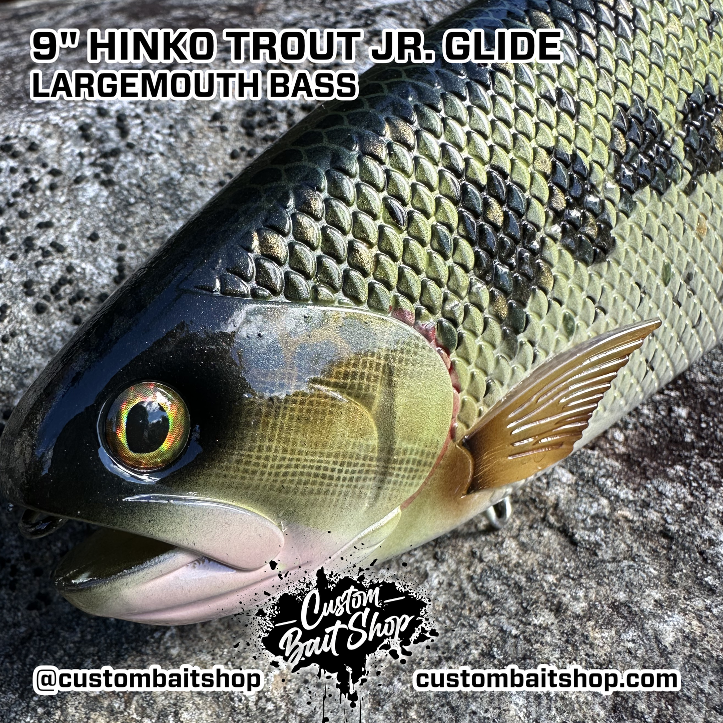 Hinko Trout Jr. (Sale)