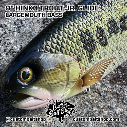 Hinko Trout Jr. (Sale)