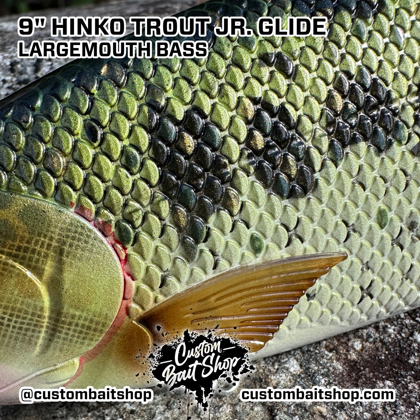 Hinko Trout Jr. (Sale)