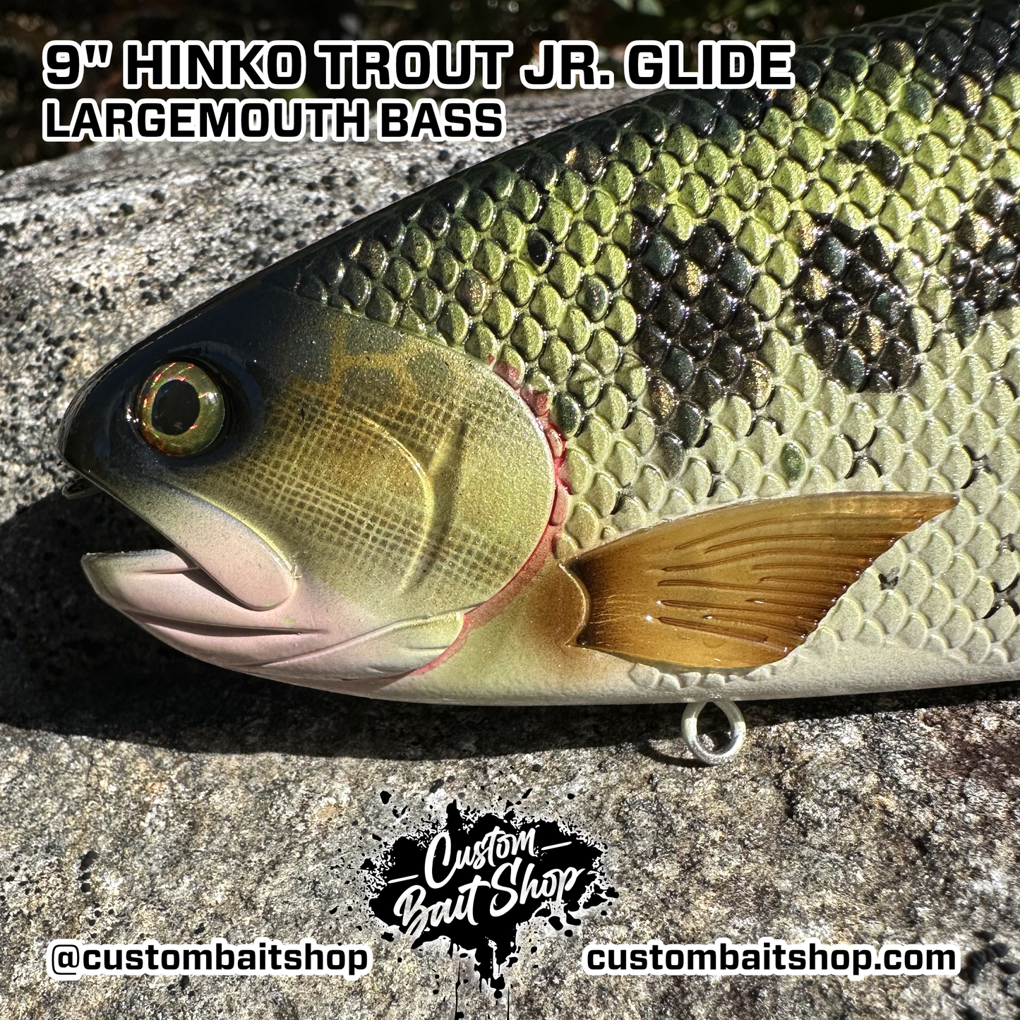 Hinko Trout Jr. (Sale)