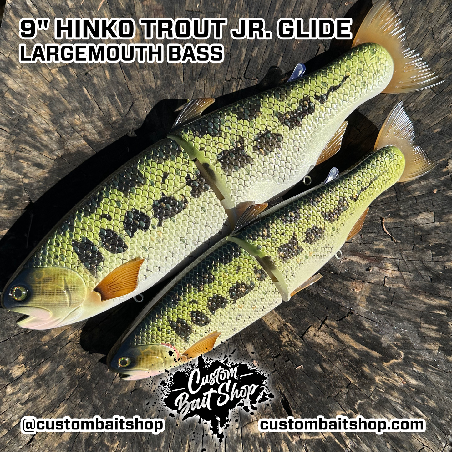Hinko Trout Jr. (Sale)