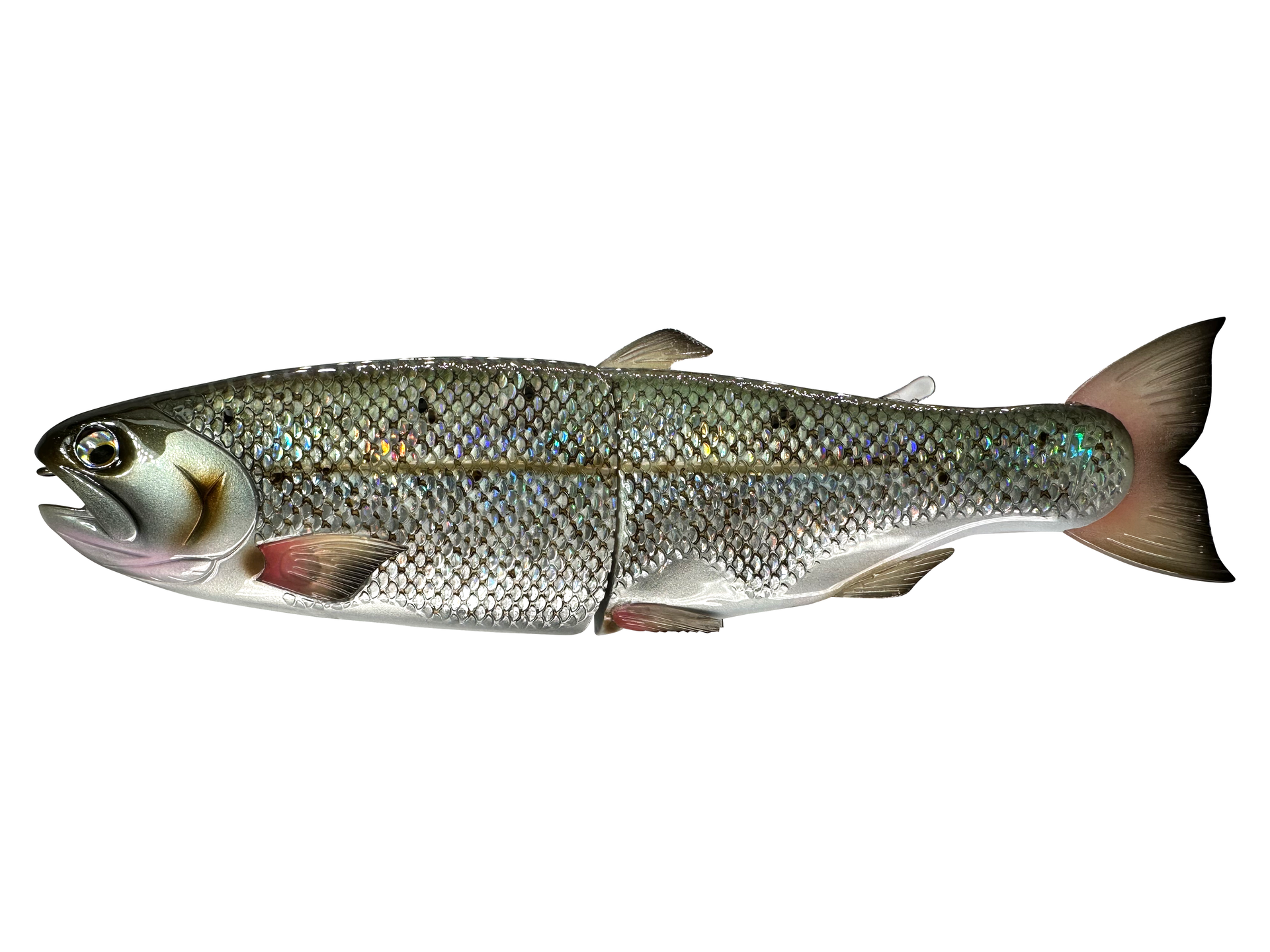 Hinko Trout / ヒンコートラウト 11インチ CBS-HinkoTroutJr-ClearLkHitch-