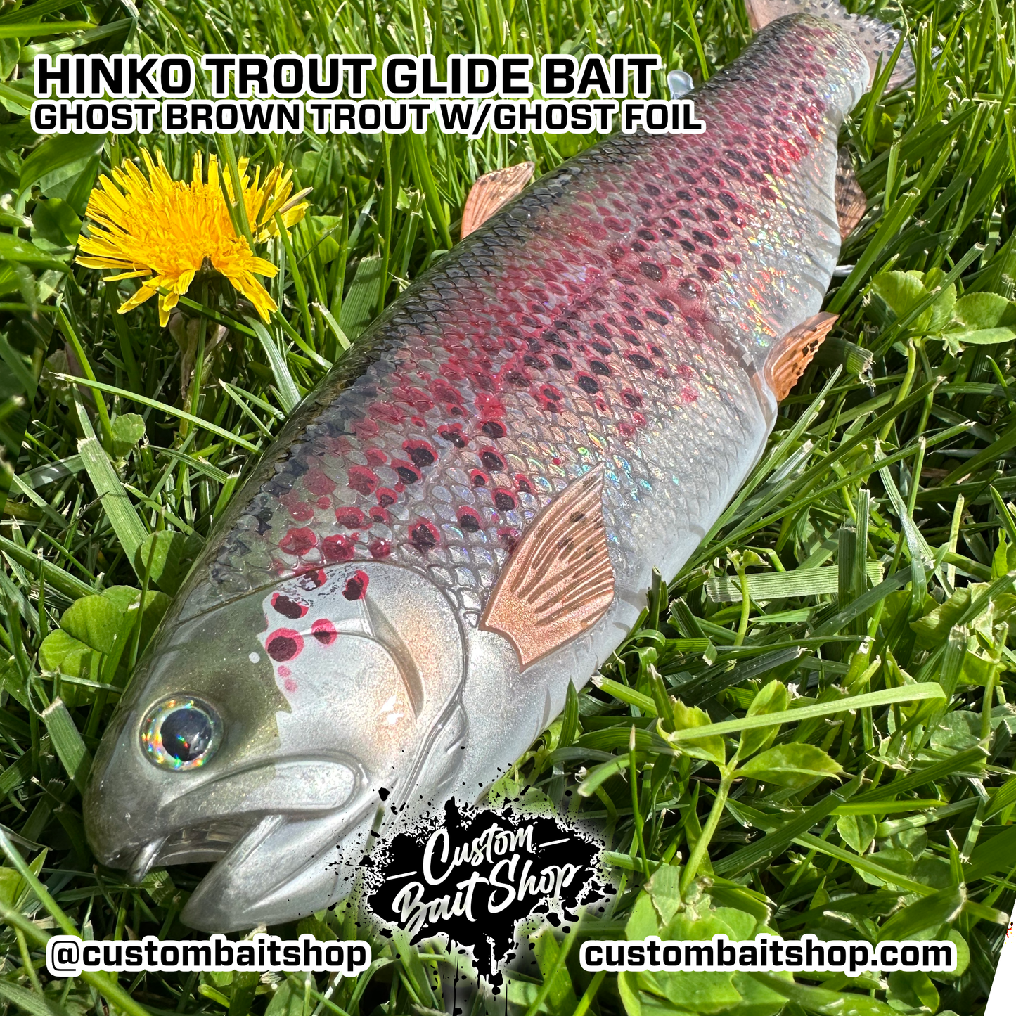 Hinko Trout Jr. (Sale)