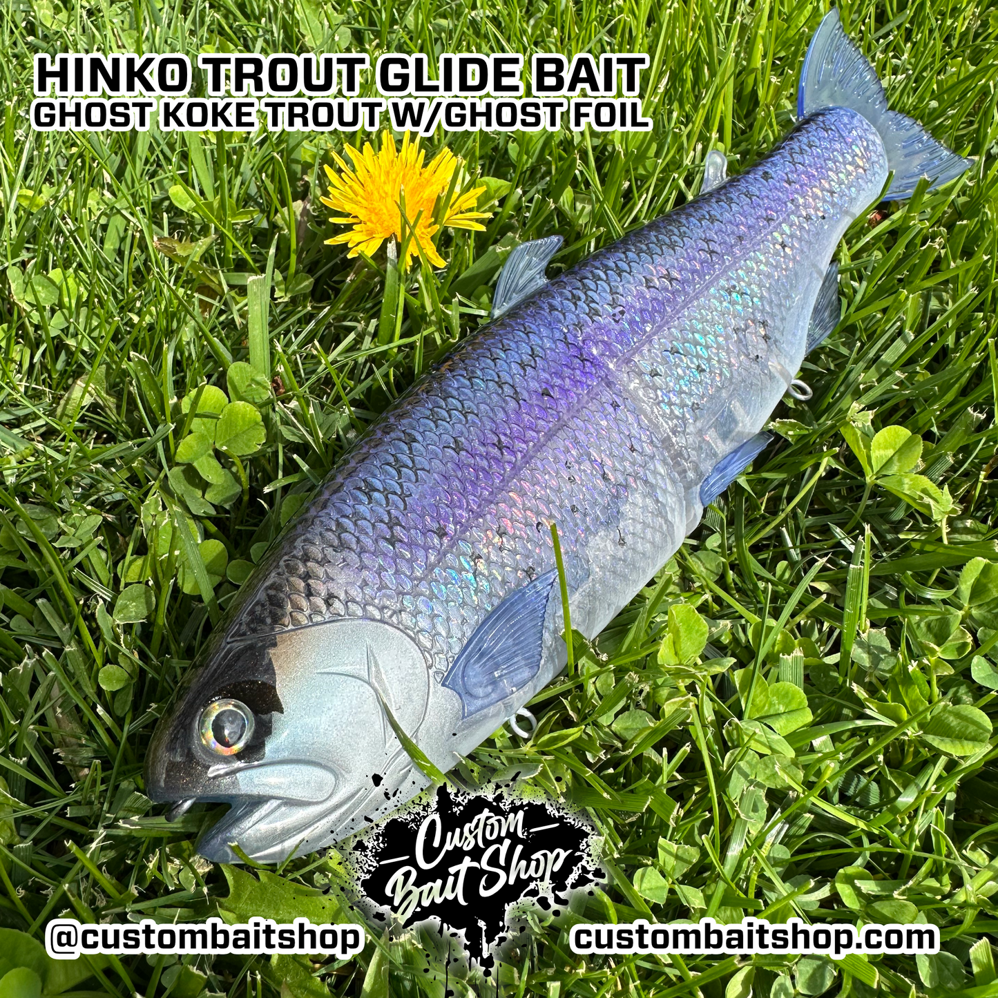 Hinko Trout Jr. (Sale)