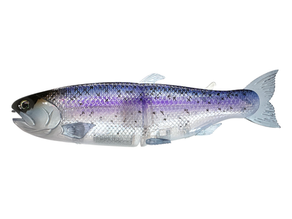 Hinko Trout Jr. (Sale)