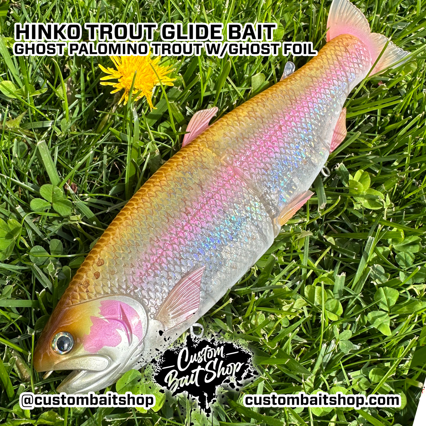 Hinko Trout Jr. (Sale)