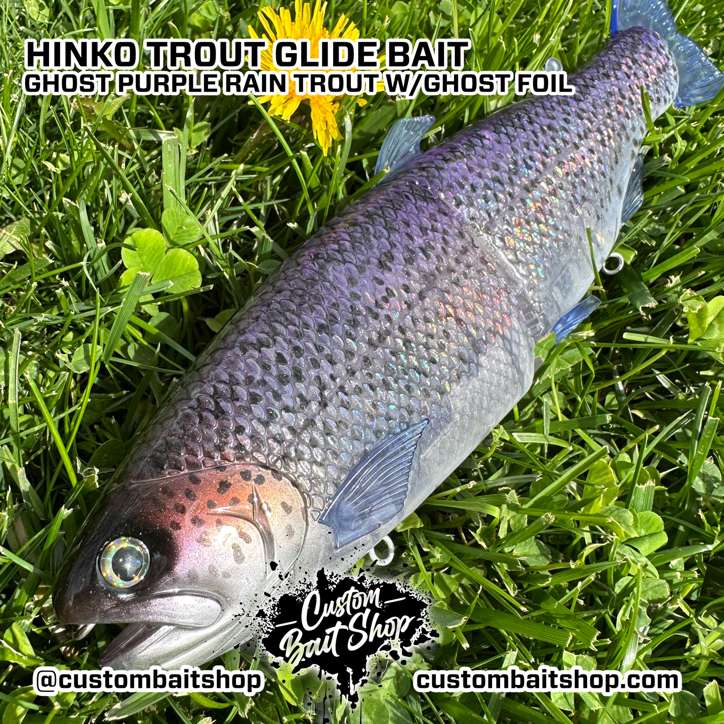 Hinko Trout Jr. (Sale)