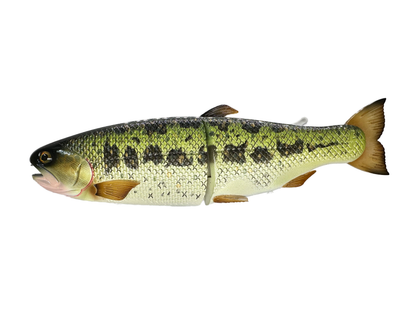 Hinko Trout Jr. (Sale)