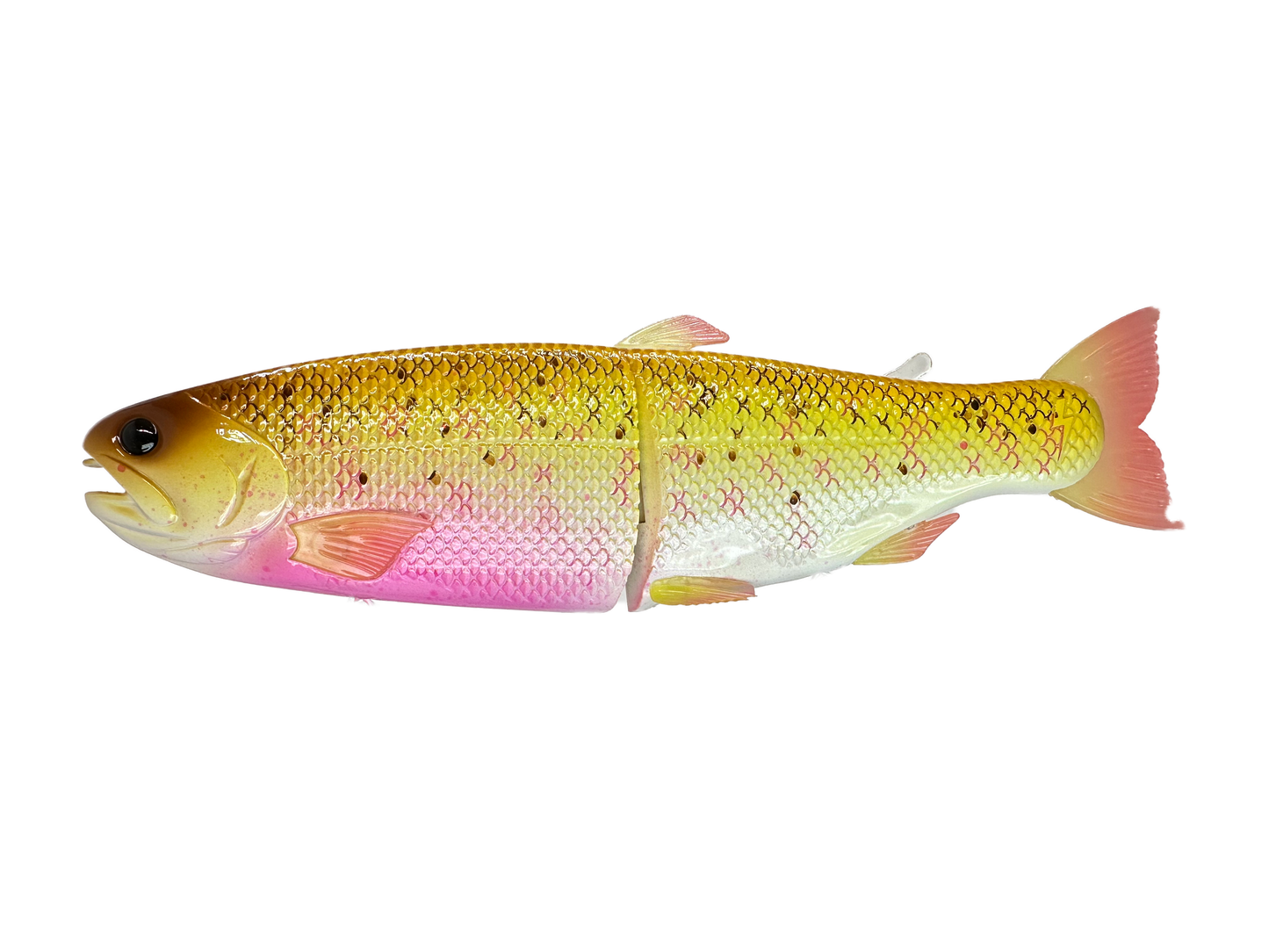 Hinko Trout Jr. (Sale)