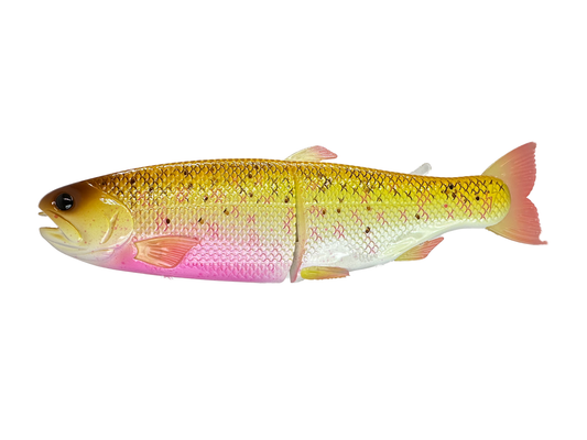Hinko Trout Jr. (Sale)