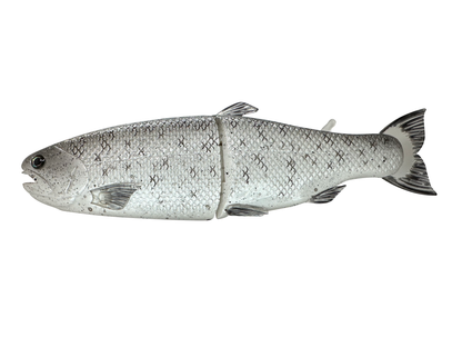11" Hinko Trout - Special Patterns