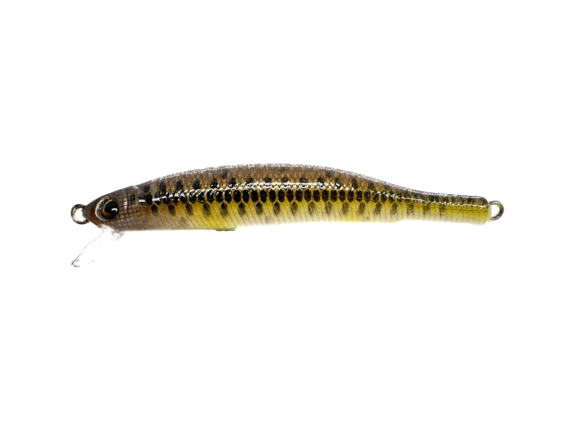 Custom 4.5in Swimbait - Creek Chub – Custom Bait Shop