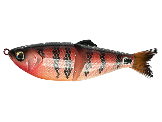 6" Jeoneo Shad Glide Bait