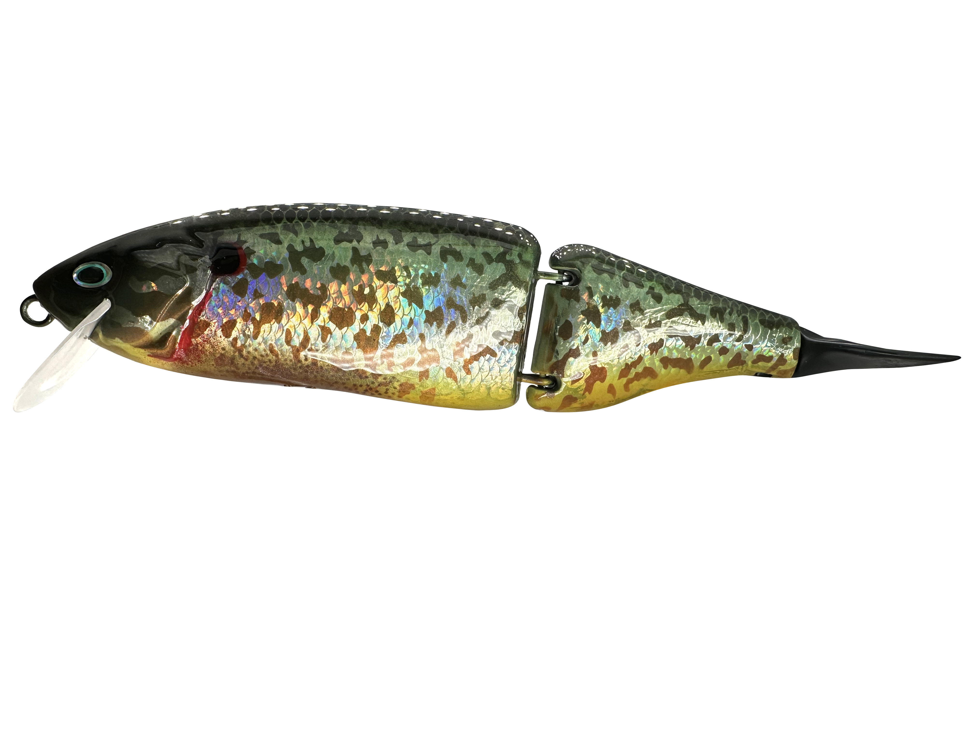 CBS-Klash9-Sunfish-Seed-match.