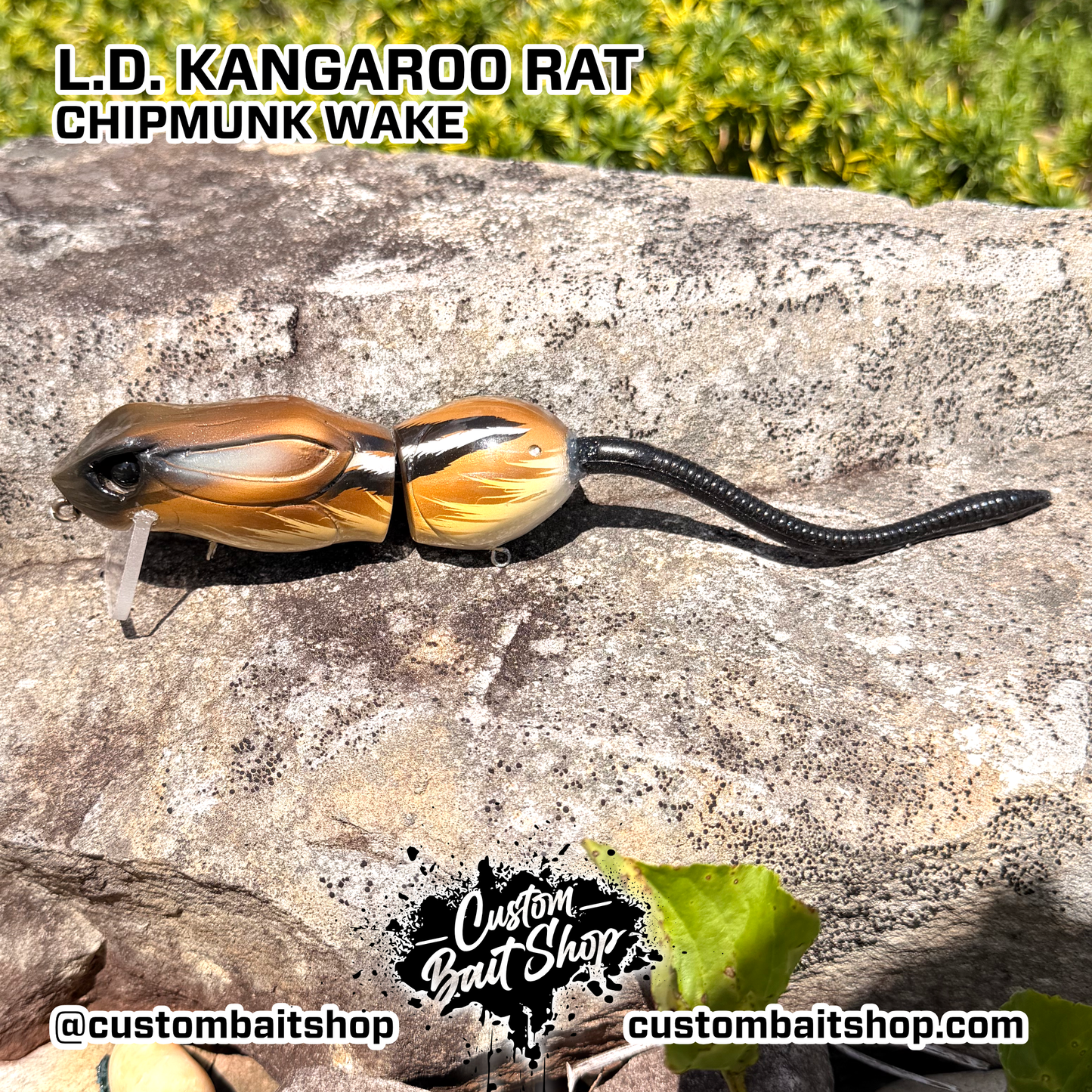 Legal Dope - Kangaroo Rat