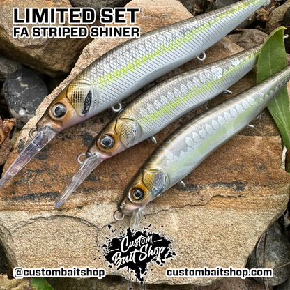 FA Striped Shiner - Random Sizes (Sale)