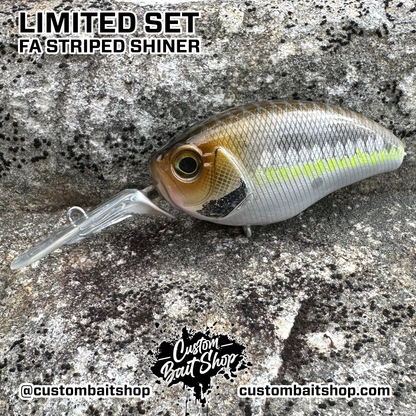 FA Striped Shiner - Random Sizes (Sale)