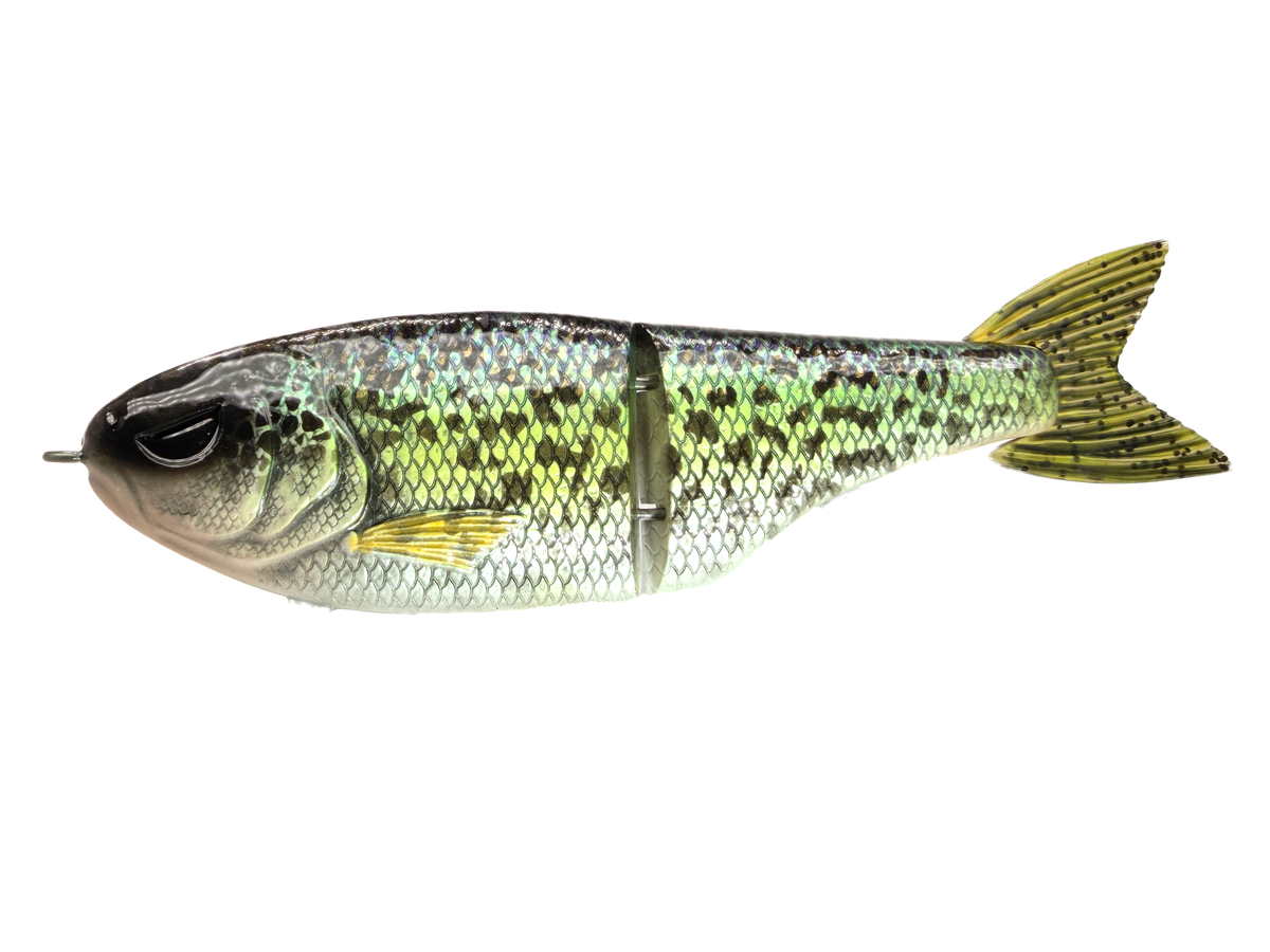 7" Nth Shad - Glide Bait