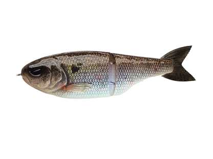 5" Nth Shad - Micro Glide