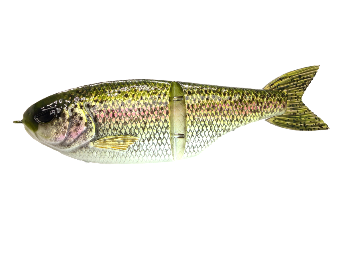 7" Nth Shad - Glide Bait