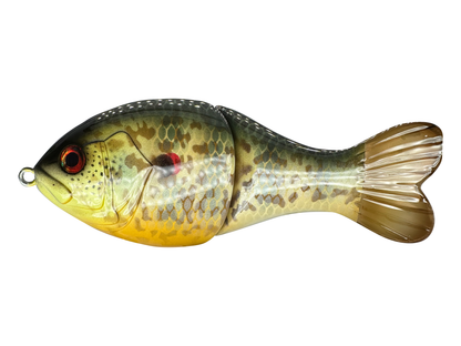 5" Phat Shad Swim Bait