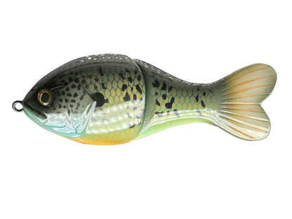 5" Phat Shad Swim Bait