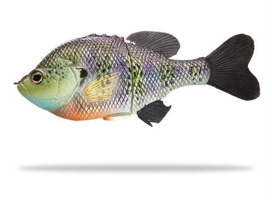 Phoney Frogs - Heavy Weight Blue Gill