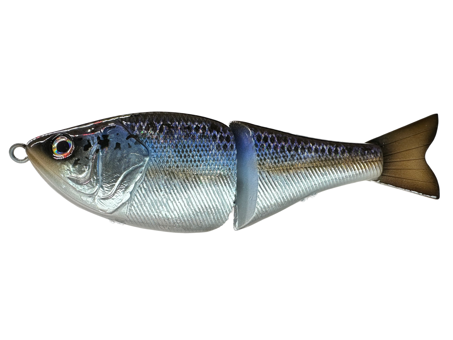 6" Player Glide Bait