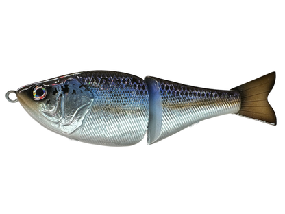 6" Player Glide Bait