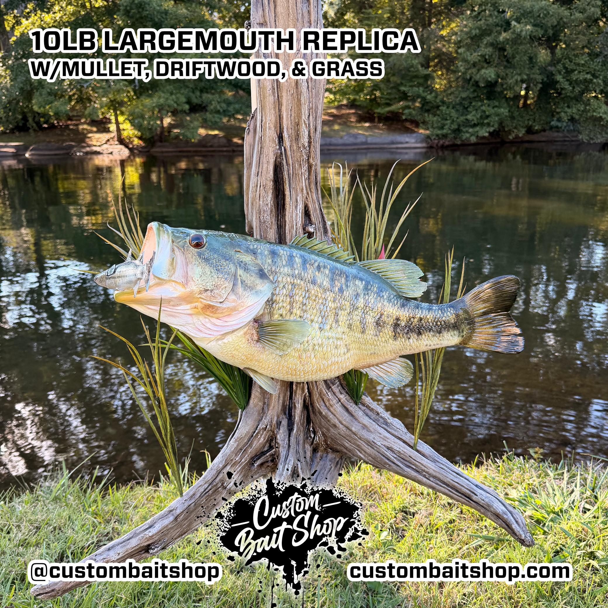 Custom Bait Shop fish replica