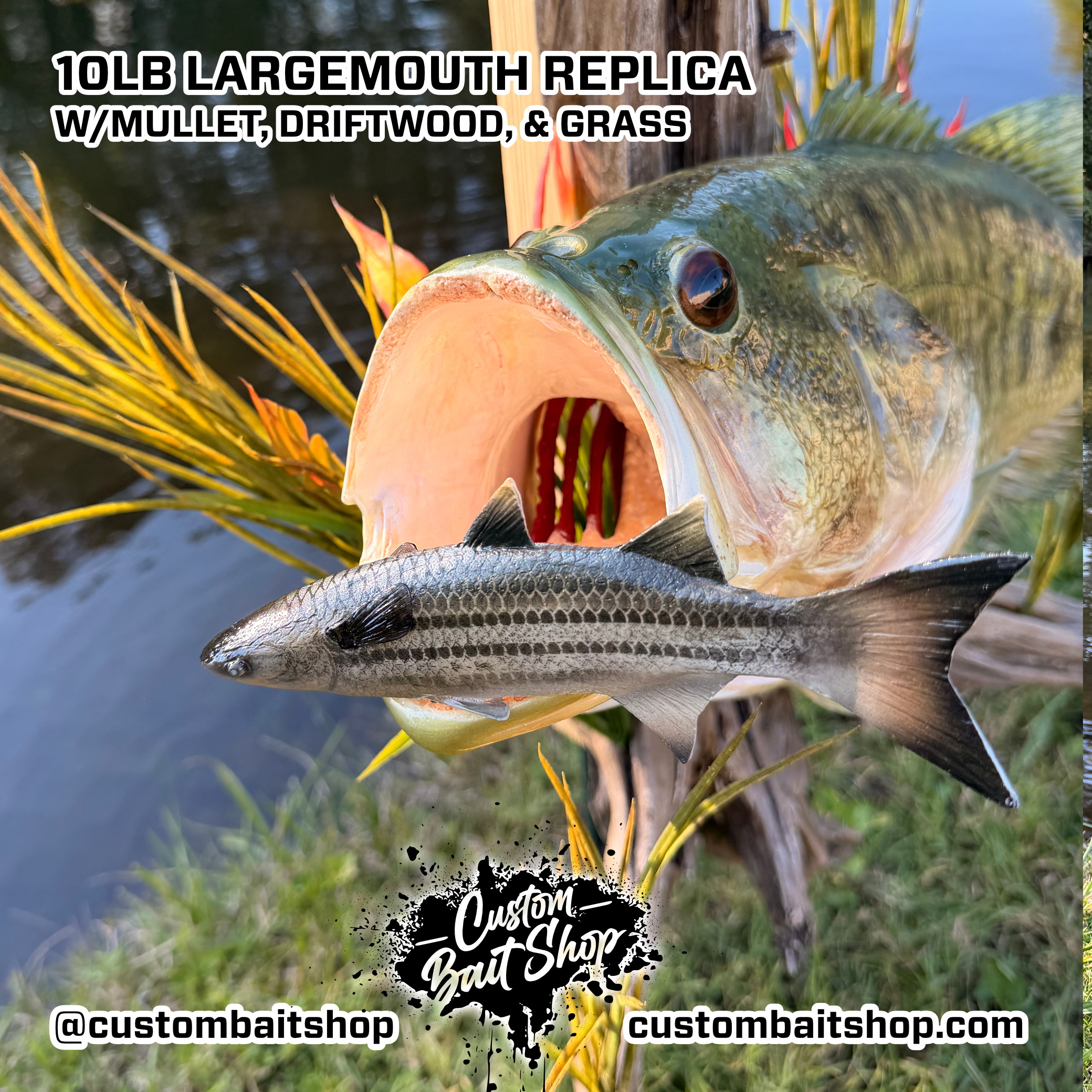 Custom Bait Shop fish replica