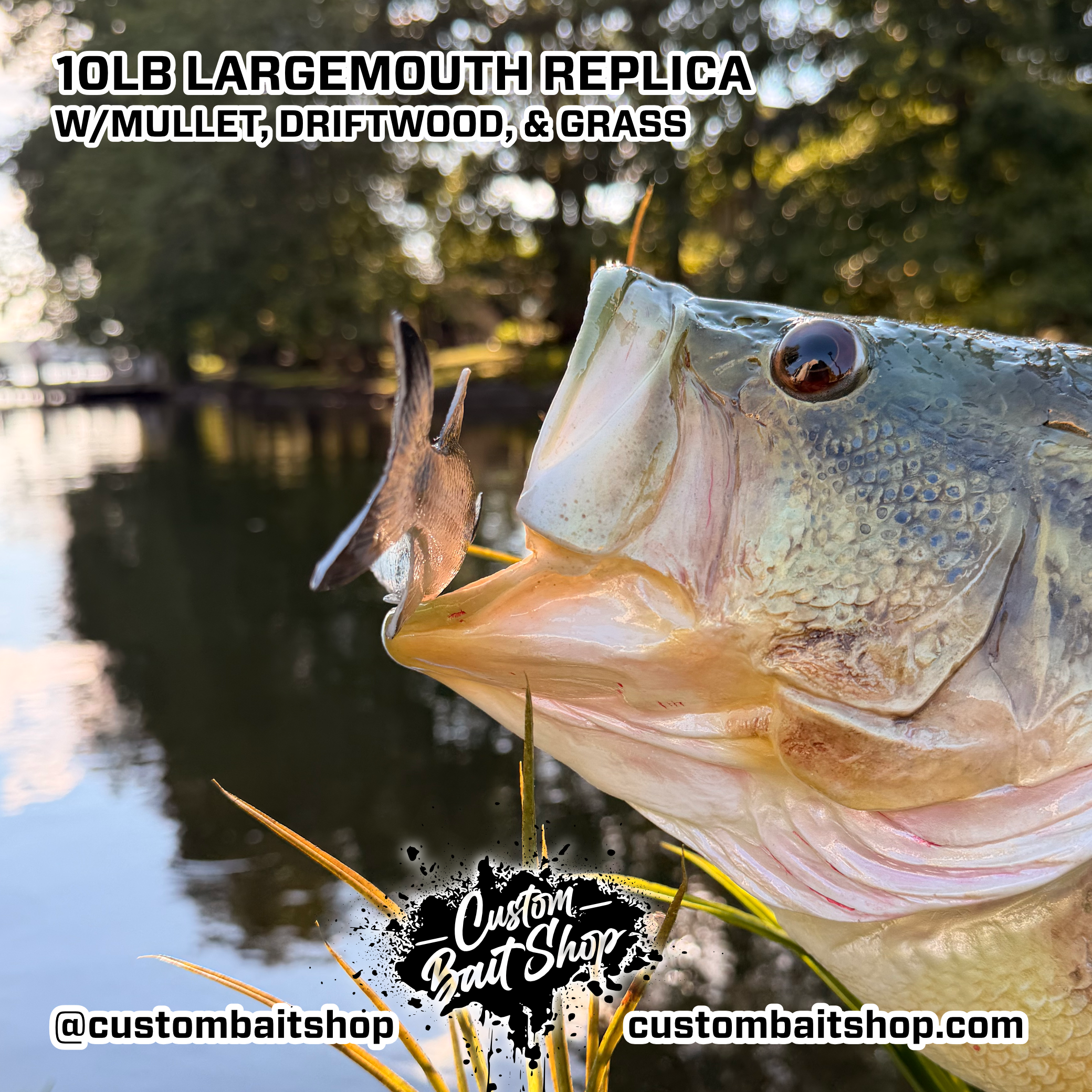 Custom Bait Shop fish replica