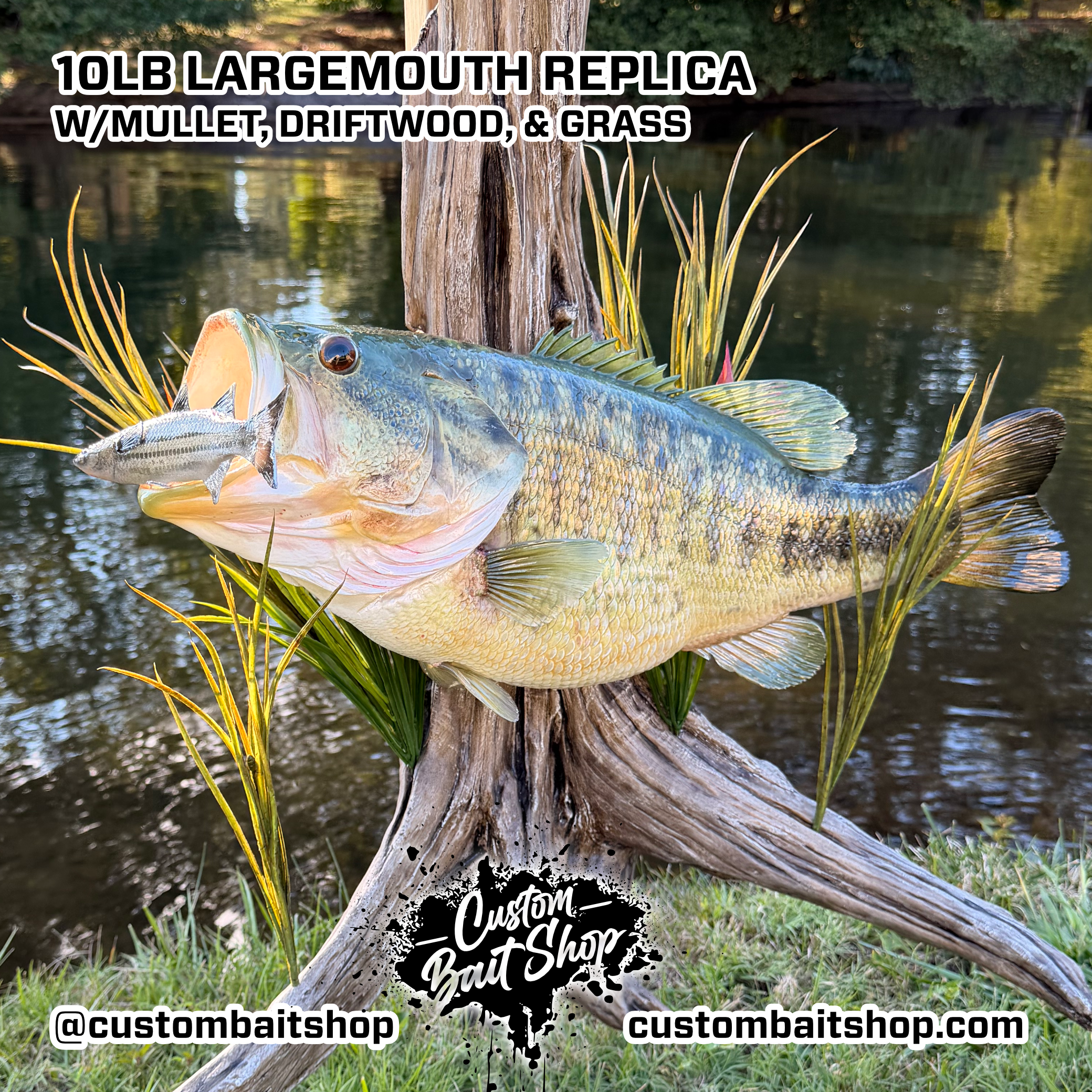 Custom Bait Shop fish replica