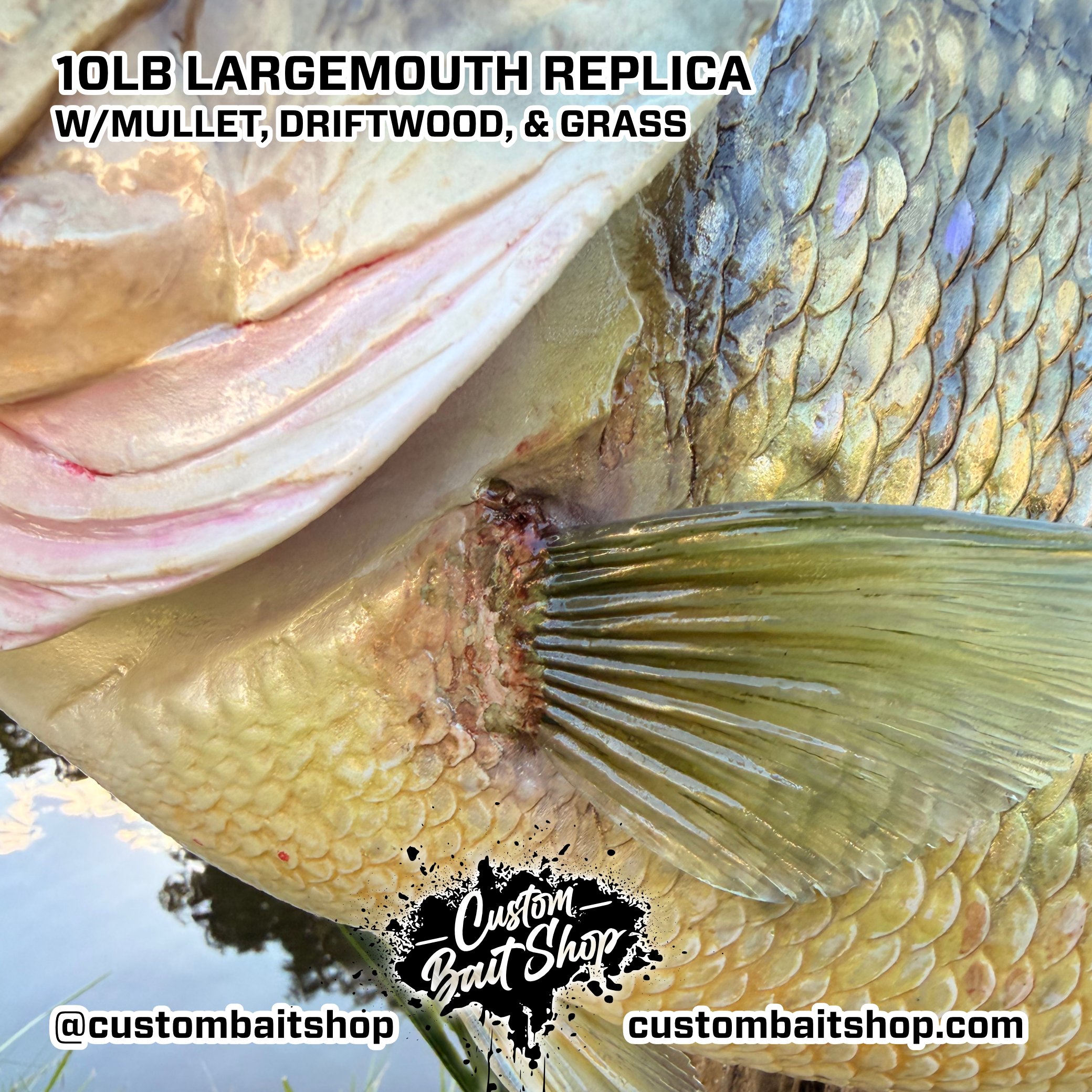 Custom Bait Shop fish replica