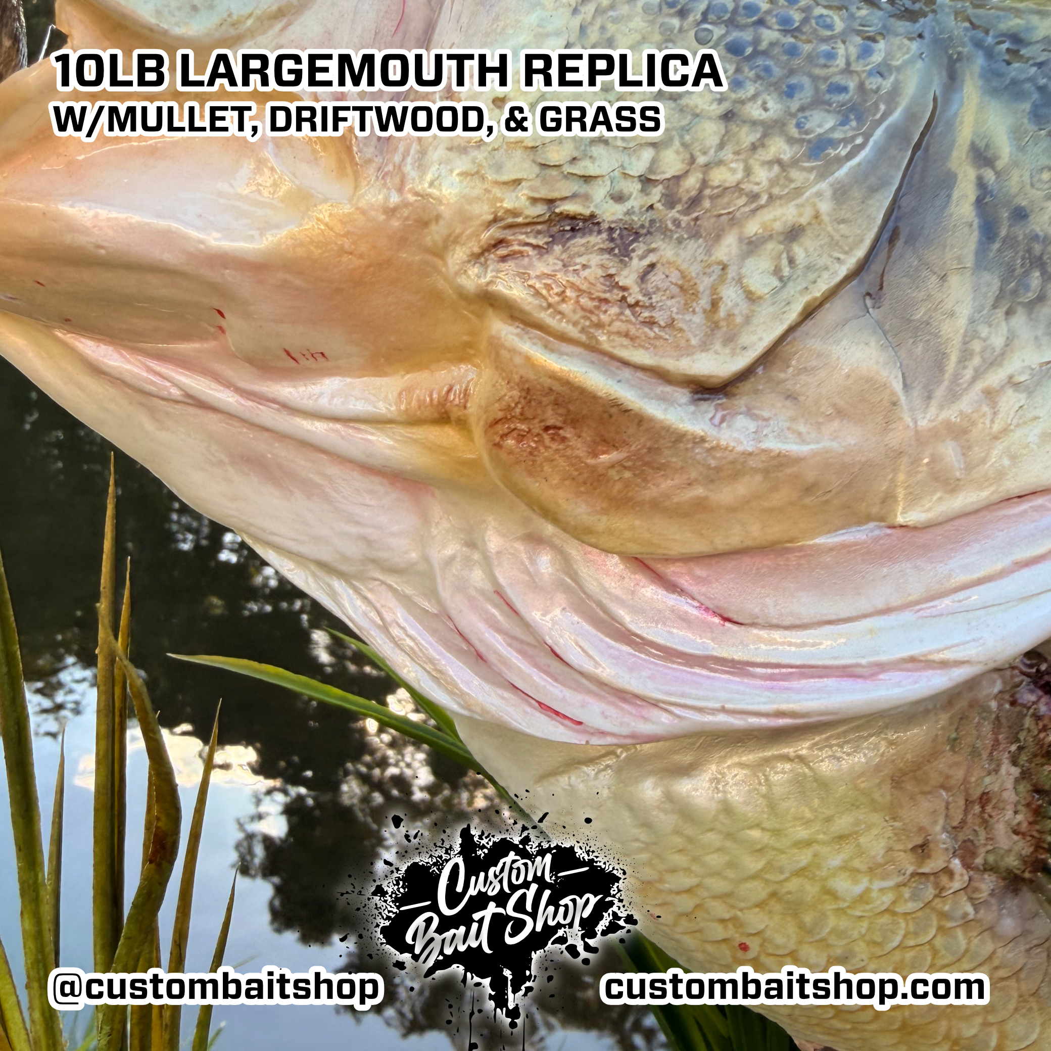 Custom Bait Shop fish replica