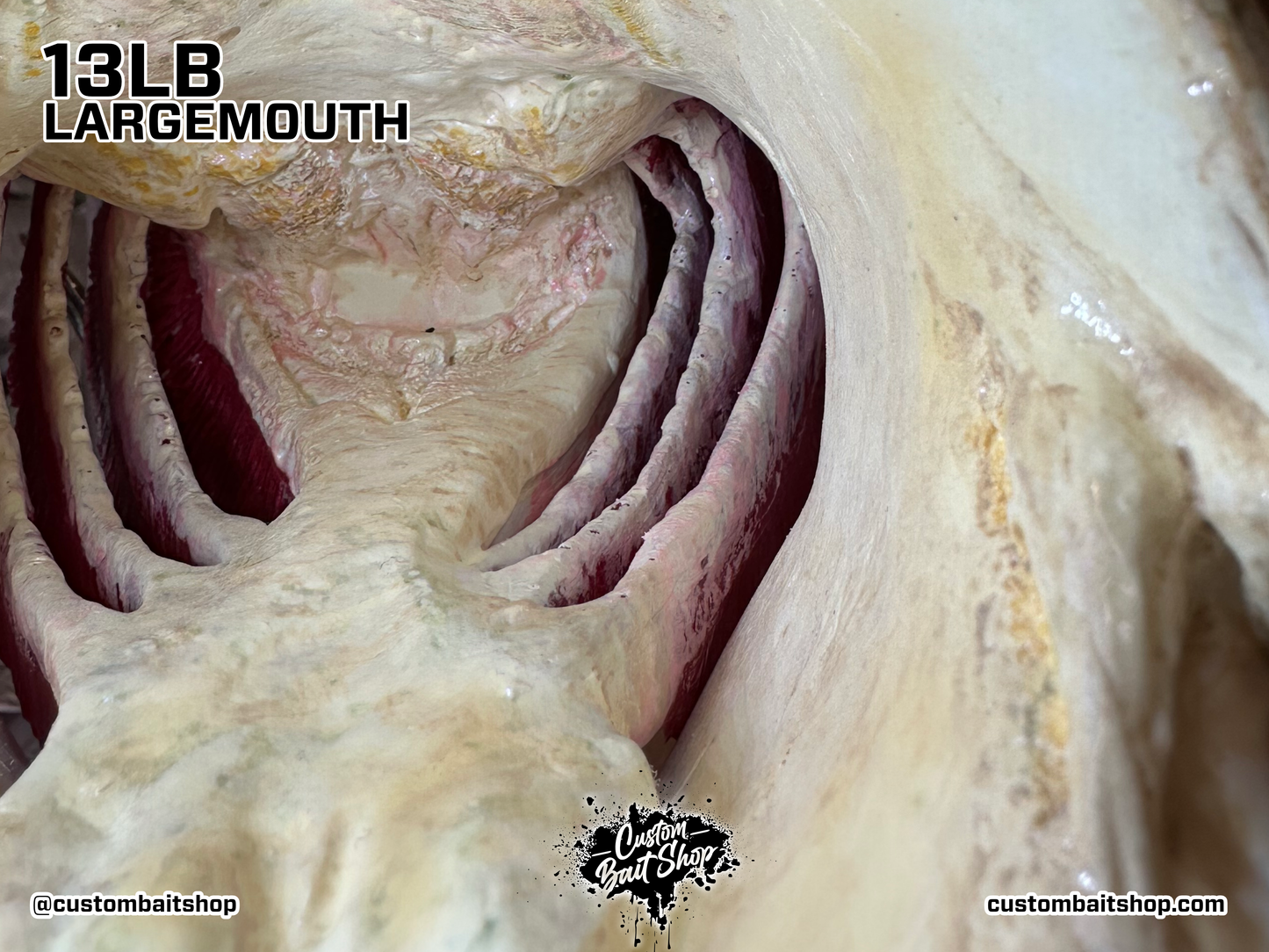 Largemouth Bass Replica (deposit)