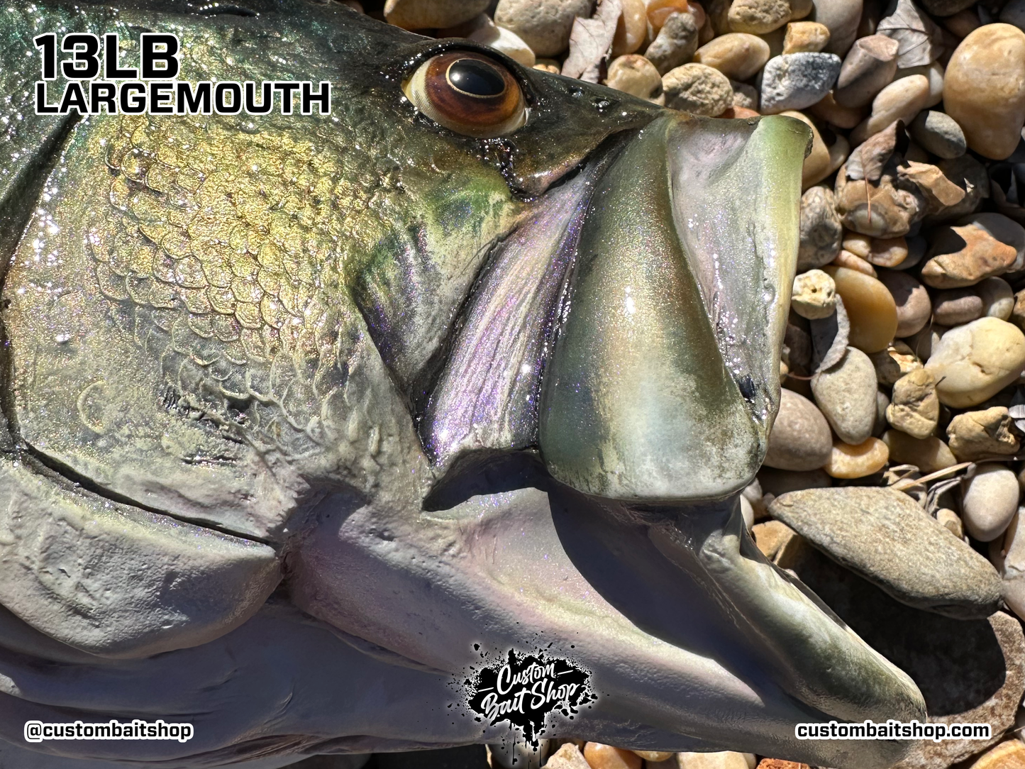 Largemouth Bass Replica (deposit)