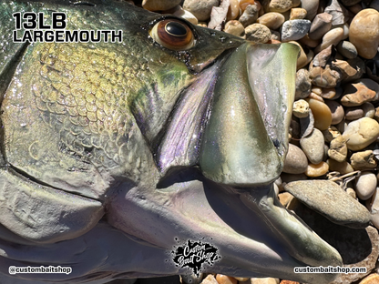 Largemouth Bass Replica (deposit)