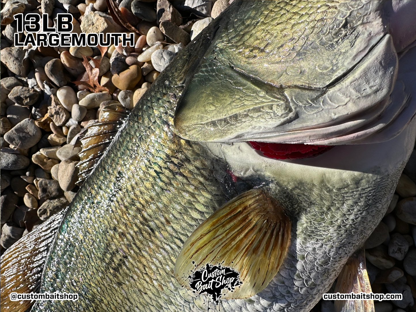 Largemouth Bass Replica (deposit)