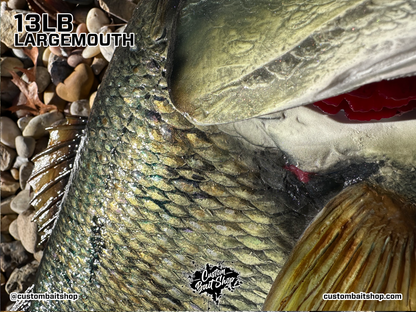 Largemouth Bass Replica (deposit)