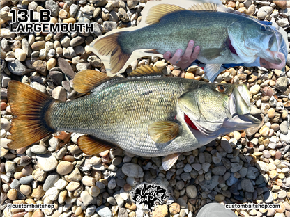 Largemouth Bass Replica (deposit)