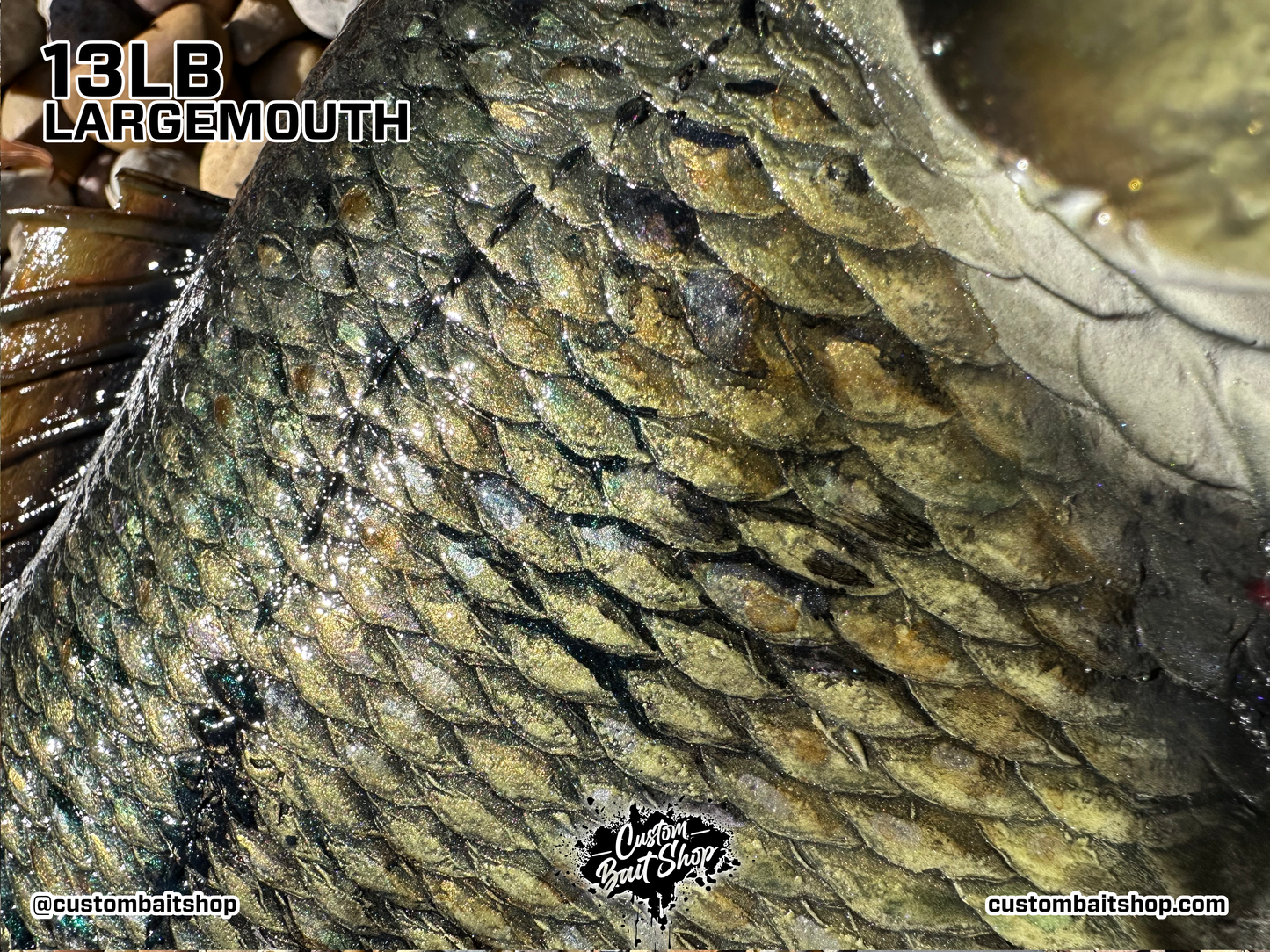 Largemouth Bass Replica (deposit)