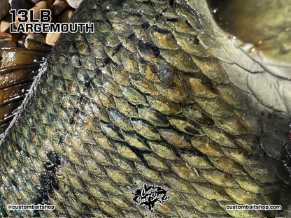Largemouth Bass Replica (deposit)