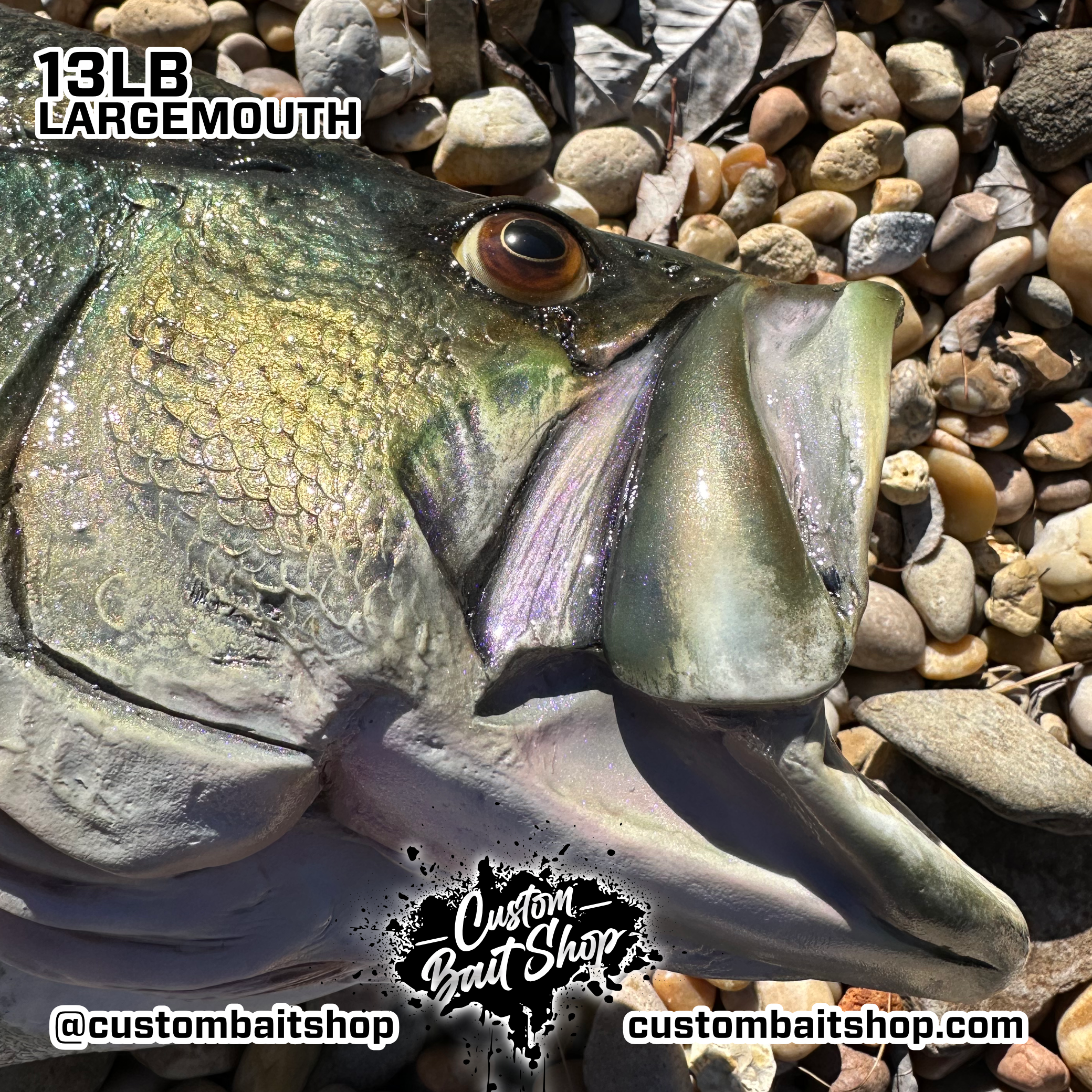 Custom Bait Shop fish replica