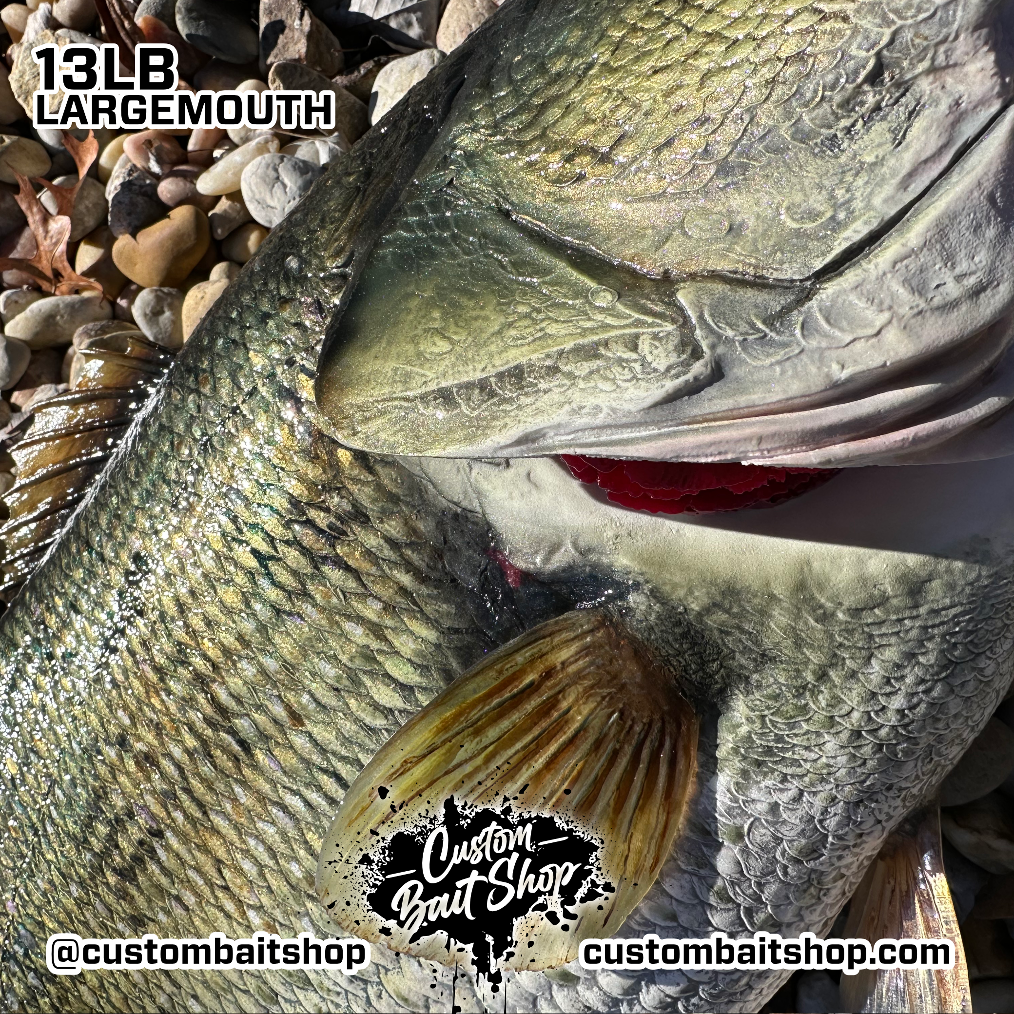 Custom Bait Shop fish replica